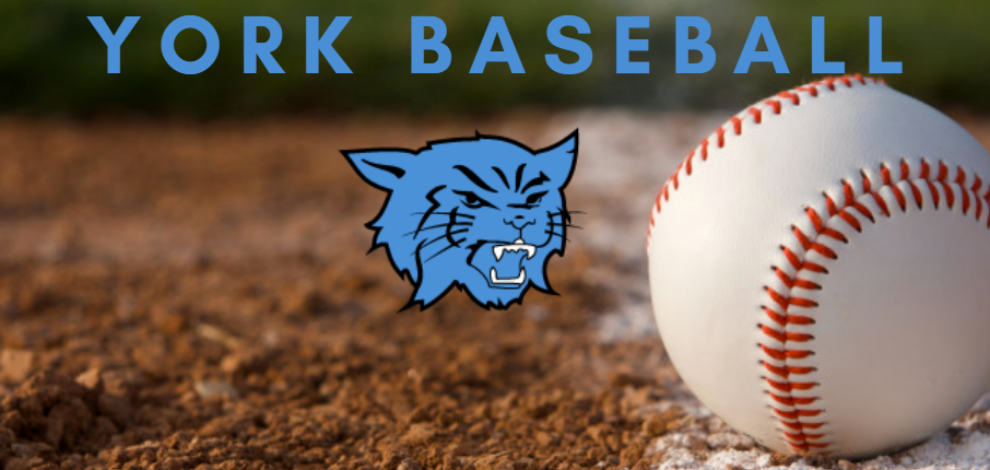 York Baseball