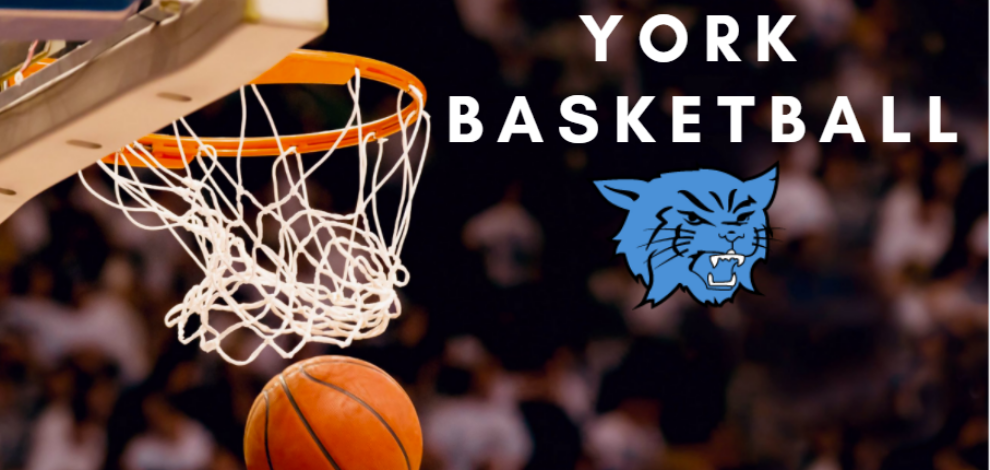 York Basketball