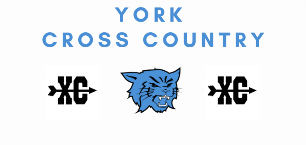 York XC
