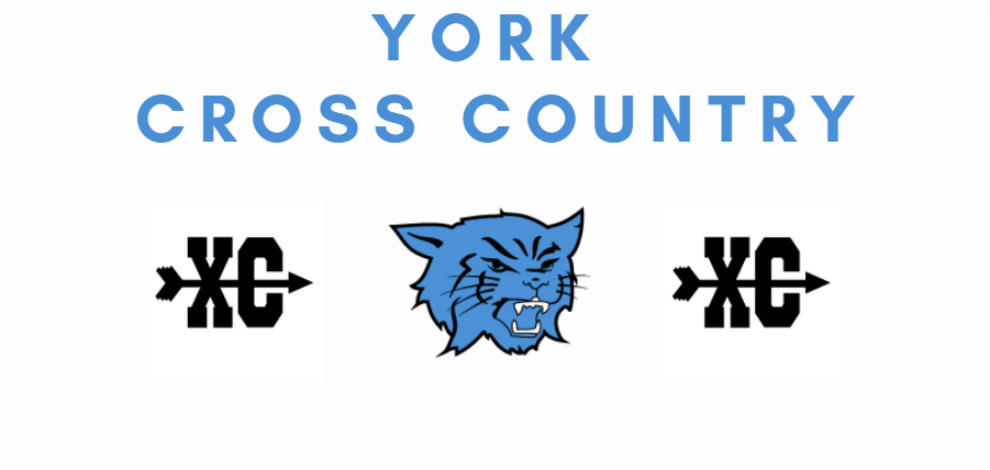 York XC