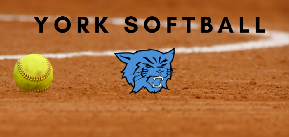 York Softball