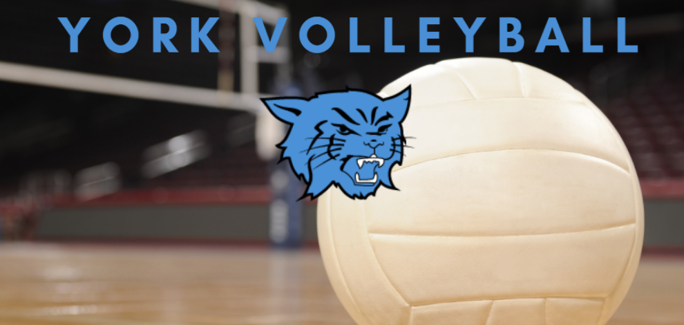 York Volleyball