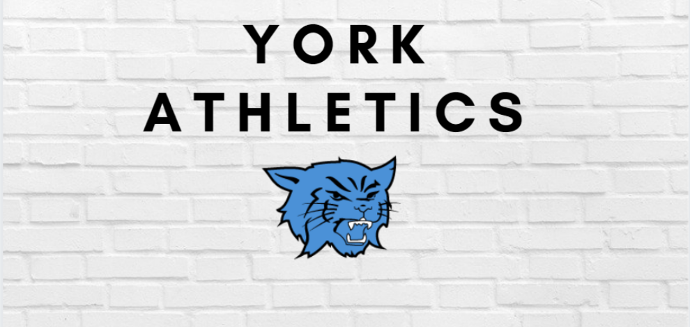 York Baseball