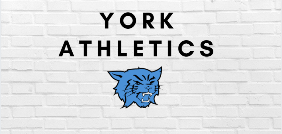 York Basketball